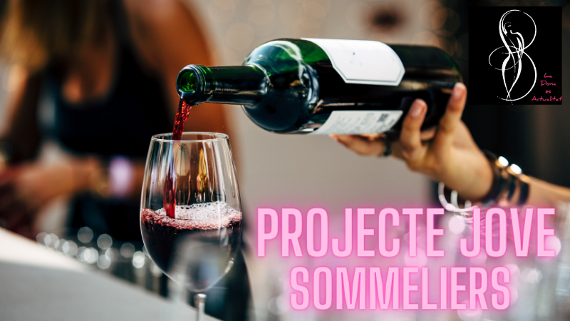 HISTÒRIA DEL VI JUNT AMB PROJECTE JOVE