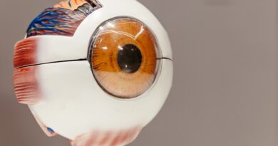 &iquest;TDAH O HERIDAS EMOCIONALES NO VISTAS?: UNA REFLEXI&Oacute;N DESDE EL COACHING